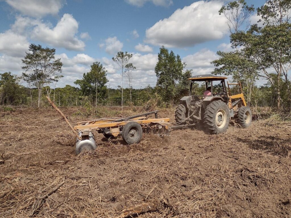 Projeto de Reposição Florestal do LT 500 KV SAPEAÇU (17)